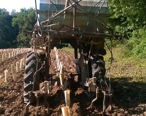 Viticulteur Ruille-sur-Loir, Viticulteur Sarthe, Viticulteur 72