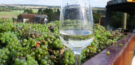 Vente de vin Ruille-sur-Loir, Vente de vin Sarthe, Vente de vin 72