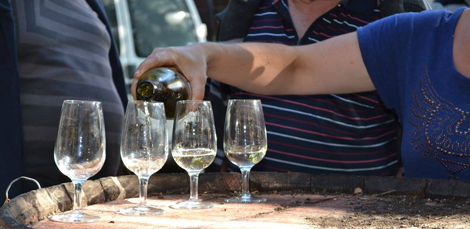 Dégustation de vin Ruille-sur-Loir, Dégustation de vin Sarthe, Dégustation de vin 72