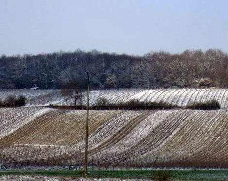 AOC Jasnières Ruille-sur-Loir, AOC Jasnières Sarthe, AOC Jasnières 72